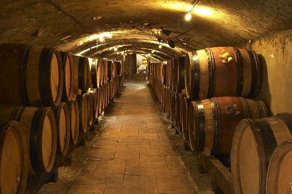 Wooden barrels with aging wine in the cellar of Guigal in Ampuis. Domaine E Guigal