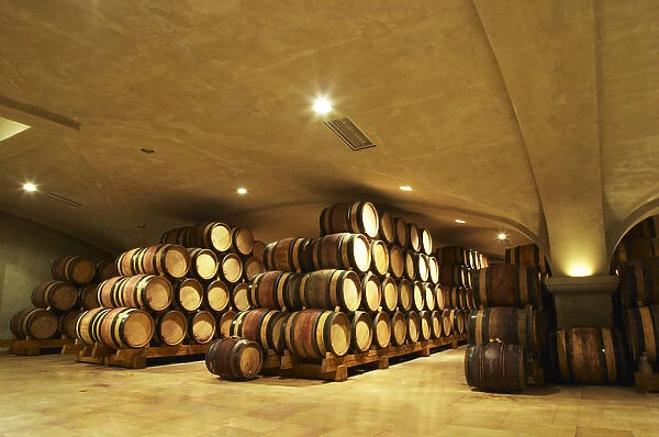 Wooden barrels with aging wine in the cellar of Guigal in Ampuis. The vaulted roof