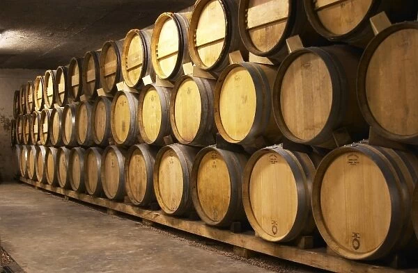 Wooden barrels in the wine cellar. Alain Voge, Cornas, Ardeche, Ardeche, France, Europe
