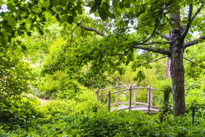 Framed Print : A wooden bridge crossing a small creek alongside a dirt path in a very green, lush forest setting Framed Print : A wooden bridge crossing a small creek alongside a dirt path in a very green, lush forest setting
