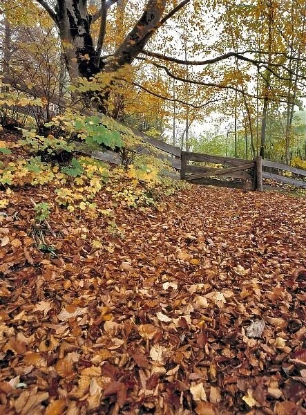 A wooden fence near Ramsau in Bavaria, Germany, blocks a leaf-covered trail