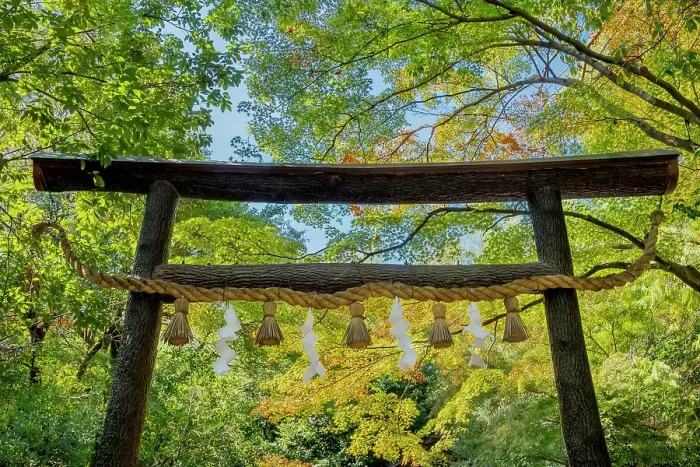 Framed Print : Wooden Torii Gate, Nonomiya Shinto shrine, Arashiyama, Kyoto, Japan