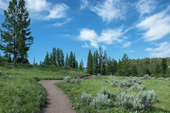 Framed Print : Wraith Falls Trail, Yellowstone National Park, Wyoming, USA