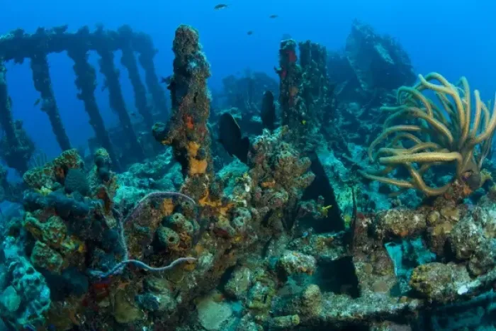Framed Print : Wreck of the RMS Rhone, iron-hulled steam sailing vessel, sank after the Great Hurricane Framed Print : Wreck of the RMS Rhone, iron-hulled steam sailing vessel, sank after the Great Hurricane
