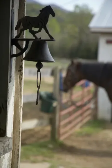 Framed Print : Wrought-iron horse and horse tied to fence near barn, Virginia, United States PR