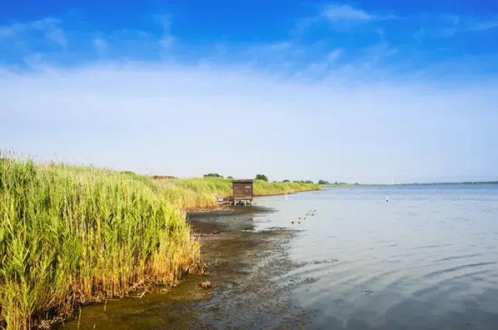 Framed Print : The WWF Oasis of Lake Burano, Capalbio, Tuscany, Grosseto Province, Italy Framed Print : The WWF Oasis of Lake Burano, Capalbio, Tuscany, Grosseto Province, Italy