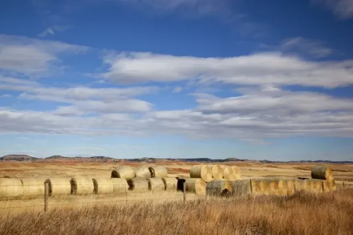 Framed Print : WY, Crook County, Hay Bales