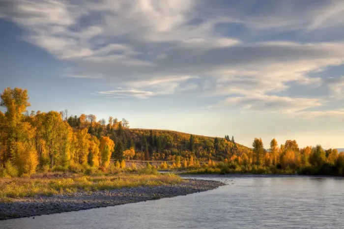 Framed Print : WY, Grand Teton National Park, Gros Ventre River and Cottonwood trees at Gros Ventre