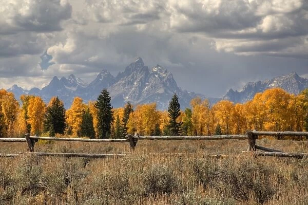 WY, Grand Teton National Park, Teton Range and Cottonwood trees with fence