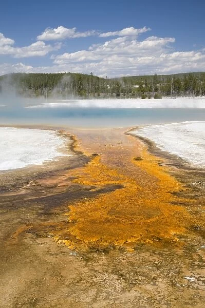 WY, Yellowstone National Park, Black Sand Basin, Rainbow Pool, and colorful bacterial mat