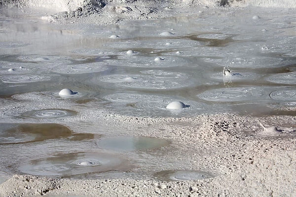 WY, Yellowstone National Park, Fountain Paint Pot, Bubbling mud