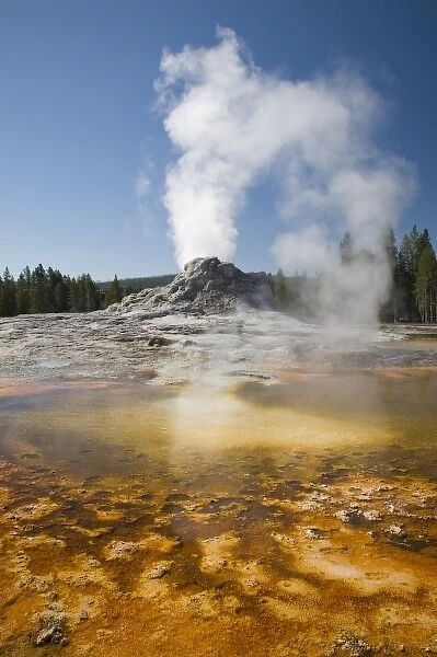 WY, Yellowstone National Park, Upper Geyser Basin, Crested Pool, colorful bacterial mat