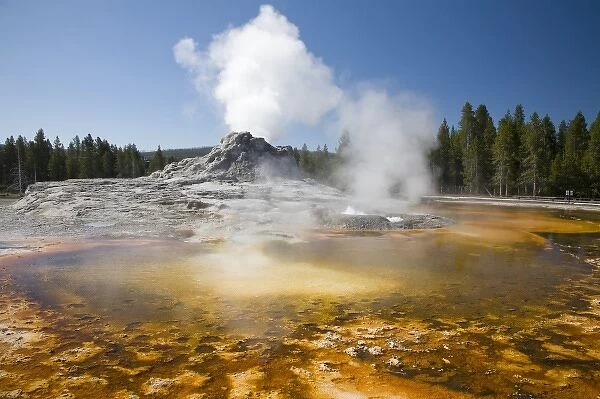 WY, Yellowstone National Park, Upper Geyser Basin, Crested Pool, colorful bacterial mat