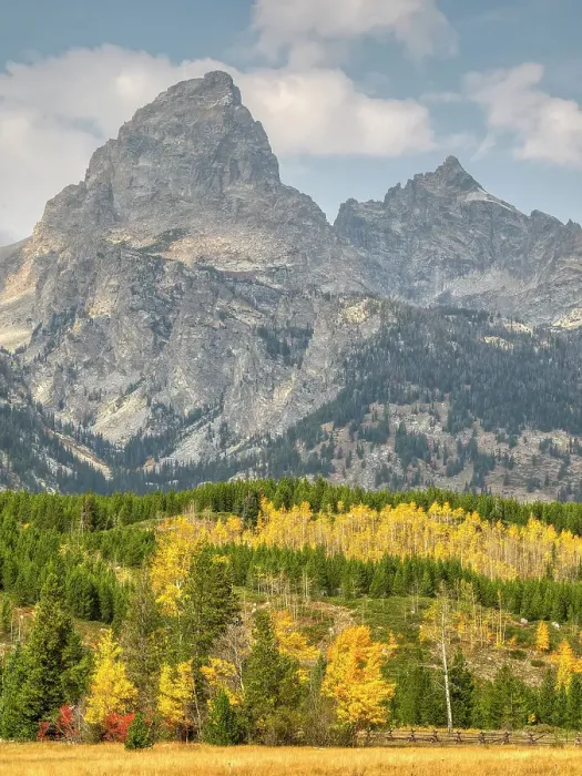 Framed Print : Wyoming, Grand Teton National Park. Teton Range with Grand Teton and golden Aspen trees Framed Print : Wyoming, Grand Teton National Park. Teton Range with Grand Teton and golden Aspen trees