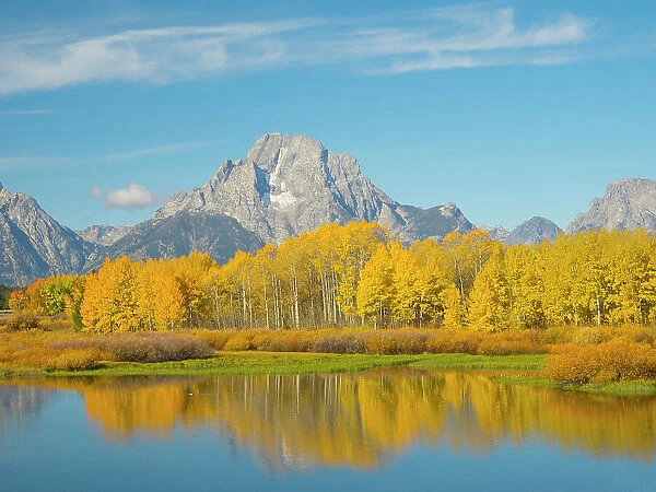 Wyoming, Grand Teton National Park. Mount Moran and golden Aspen trees, reflected in Snake River at Oxbow Bend