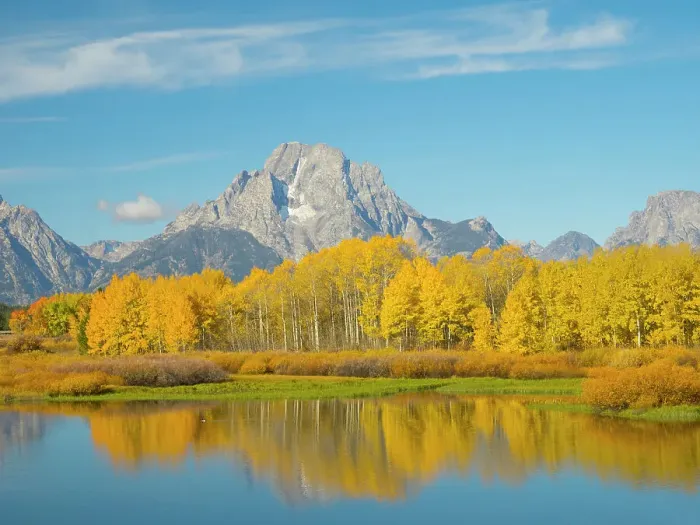 Framed Print : Wyoming, Grand Teton National Park. Mount Moran and golden Aspen trees, reflected in Snake River at Oxbow Bend