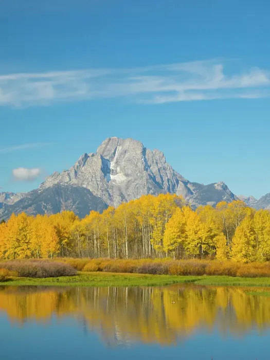 Framed Print : Wyoming, Grand Teton National Park. Mount Moran and golden Aspen trees, reflected in Snake River at Oxbow Bend Framed Print : Wyoming, Grand Teton National Park. Mount Moran and golden Aspen trees, reflected in Snake River at Oxbow Bend