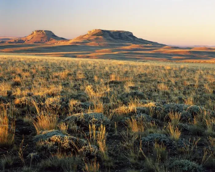 Framed Print : WYOMING. USA. Grasses & sagebrush on Continental Divide at sunrise. Oregon Buttes in distance Framed Print : WYOMING. USA. Grasses & sagebrush on Continental Divide at sunrise. Oregon Buttes in distance