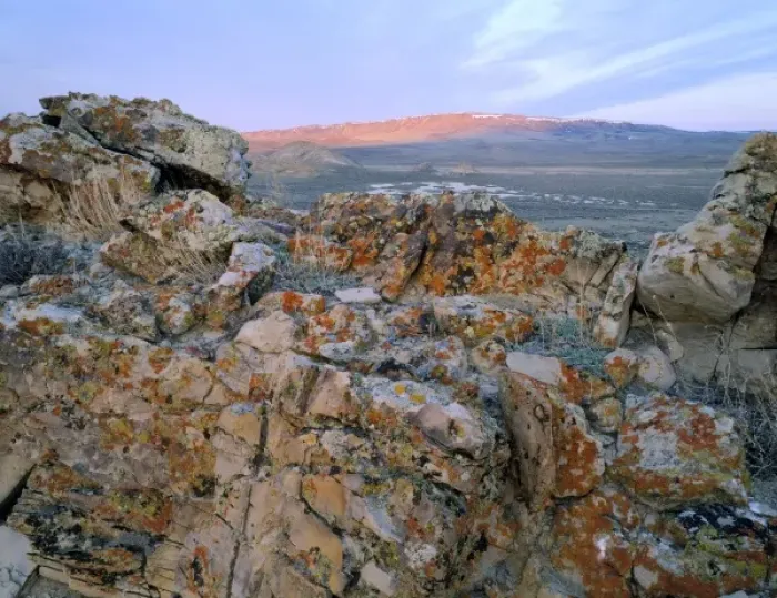 Framed Print : Wyoming. USA. Lichen-covered rock at sunrise. Great Divide Basin. Bull Springs Rim in distance