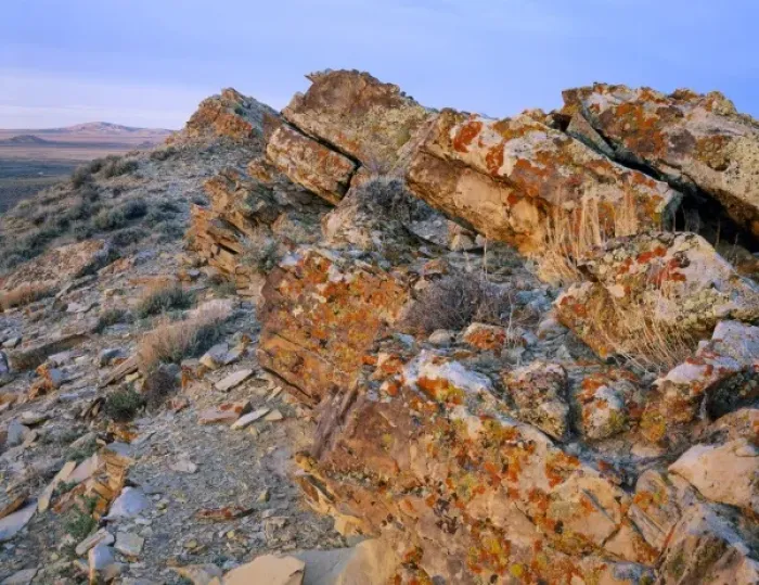 Framed Print : Wyoming. USA. Lichen on tilted rock. Great Divide Basin. Red Desert Framed Print : Wyoming. USA. Lichen on tilted rock. Great Divide Basin. Red Desert