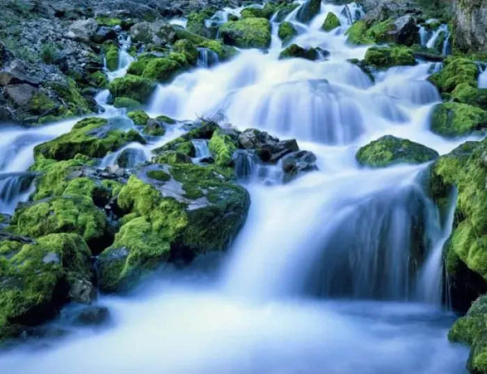 Framed Print : Wyoming. USA. Periodic Spring during period of high flow. Water flows in pulses from spring Framed Print : Wyoming. USA. Periodic Spring during period of high flow. Water flows in pulses from spring