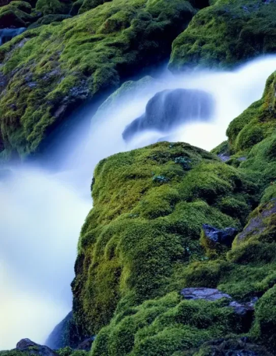 Framed Print : WYOMING. USA. Periodic Spring during period of low flow. Water flows in pulses from spring Framed Print : WYOMING. USA. Periodic Spring during period of low flow. Water flows in pulses from spring