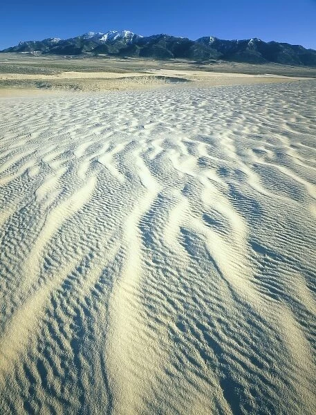 Wyoming. USA. Ripples in dunes below Ferris Mountains. Ferris Dunes, Great Divide Basin
