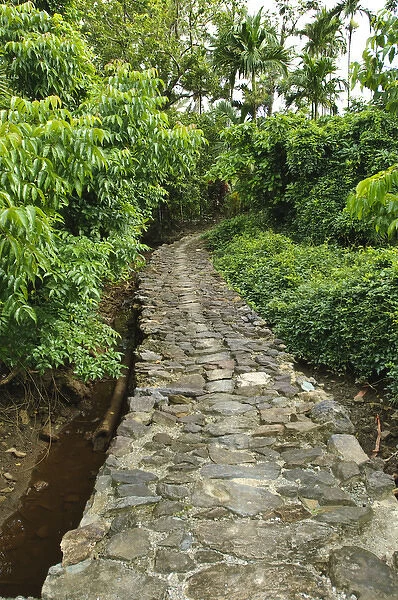 Yap. Old stone pathway