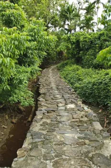 Framed Print : Yap. Old stone pathway Framed Print : Yap. Old stone pathway