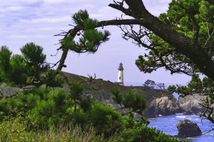Framed Print : Yaquina Head Lighthouse, near Newport, Oregon Coast Framed Print : Yaquina Head Lighthouse, near Newport, Oregon Coast