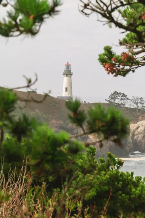 Framed Print : Yaquina Head Lighthouse, near Newport, Oregon Coast Framed Print : Yaquina Head Lighthouse, near Newport, Oregon Coast