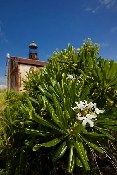 After years of neglect and hurricanes, The El Faro lighthouse among the cliffs of Mona Island