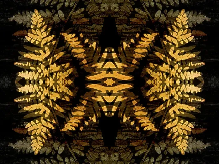 Framed Print : Yellow fern abstract Framed Print : Yellow fern abstract