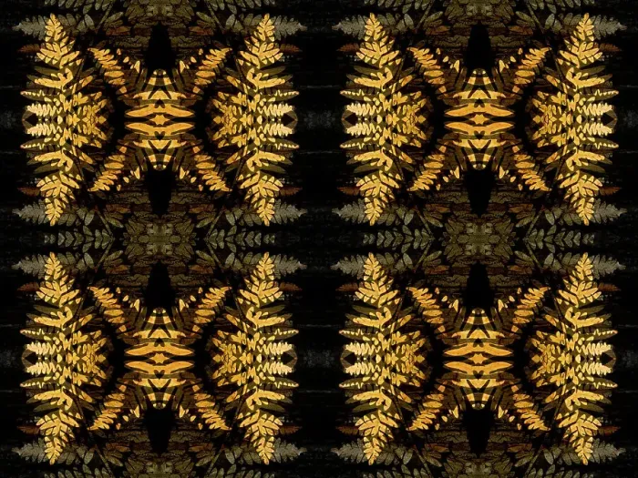 Framed Print : Yellow fern abstract Framed Print : Yellow fern abstract