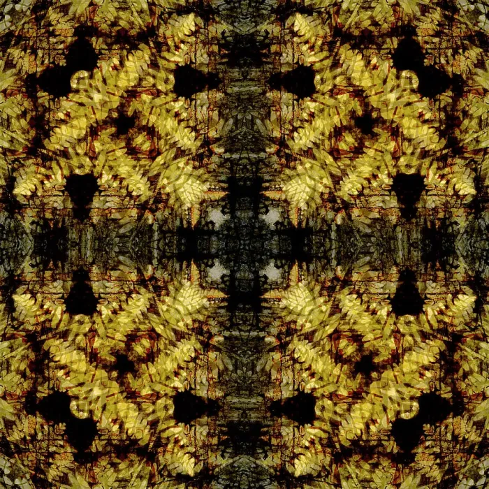 Framed Print : Yellow fern abstract Framed Print : Yellow fern abstract
