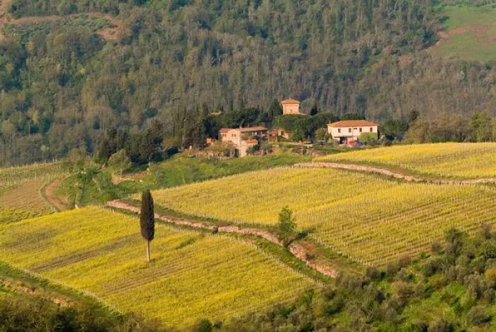 Framed Print : Yellow fields and the green Tuscan landscape surrounding a small group of buildings Framed Print : Yellow fields and the green Tuscan landscape surrounding a small group of buildings