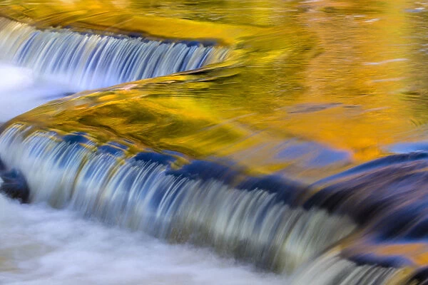 Yellow and golds reflect from tree into The Middle Branch of the Ontonagon River