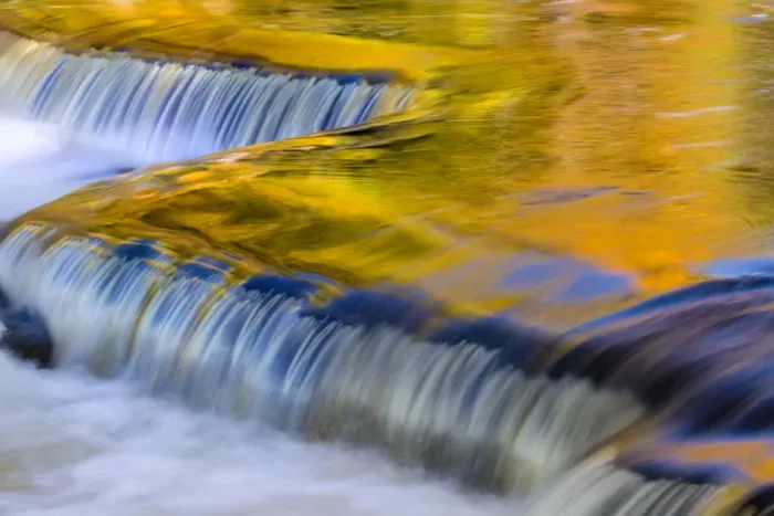 Framed Print : Yellow and golds reflect from tree into The Middle Branch of the Ontonagon River Framed Print : Yellow and golds reflect from tree into The Middle Branch of the Ontonagon River