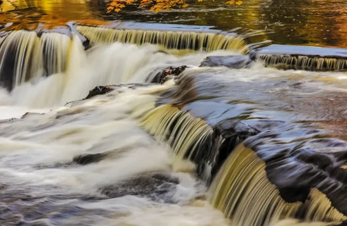 Framed Print : Yellow and golds reflect from tree into The Middle Branch of the Ontonagon River Framed Print : Yellow and golds reflect from tree into The Middle Branch of the Ontonagon River