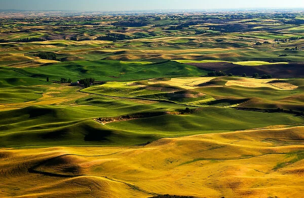 Yellow Green Wheat Fields Roads and Farms from Steptoe Butte at Palouse Washington