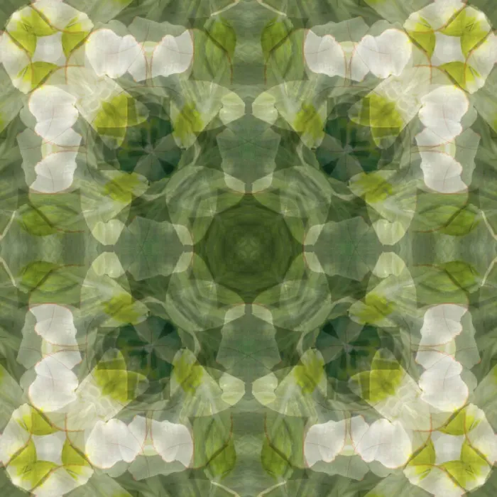 Framed Print : Yellow, green and white floral abstract Framed Print : Yellow, green and white floral abstract