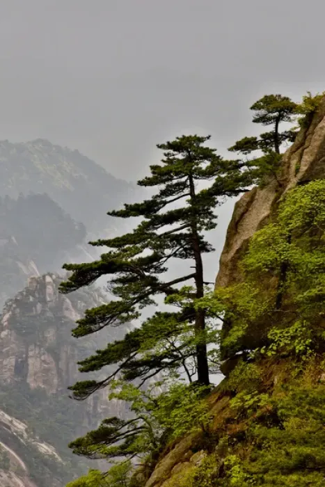 Framed Print : Yellow Mountains a UNESCO World Heritage Site Framed Print : Yellow Mountains a UNESCO World Heritage Site