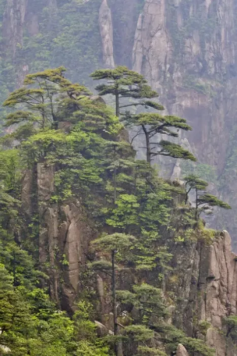 Framed Print : Yellow Mountains a UNESCO World Heritage Site Framed Print : Yellow Mountains a UNESCO World Heritage Site