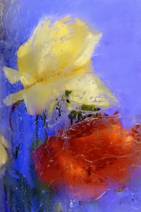 Framed Print : Yellow and red roses frozen in block of ice, Glacier Palace, Klein Matterhorn, Zermatt Framed Print : Yellow and red roses frozen in block of ice, Glacier Palace, Klein Matterhorn, Zermatt