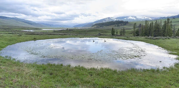 Yellowstone National Park, Lamar Valley. A view of the Lamar Valley in the spring
