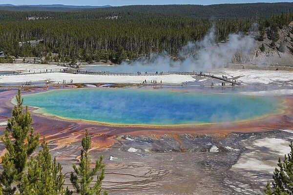 Yellowstone National Park, USA, Wyoming. Grand Prismatic Spring with tourist