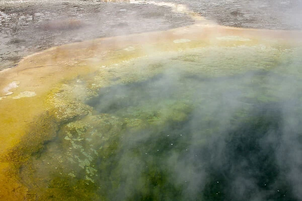 Yellowstone National Park, Wyoming, USA. Morning Glory Pool with steam rising from it