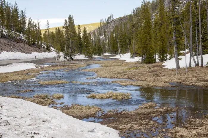 Framed Print : Yellowstone National Park, Wyoming, USA. Firehole River after a fresh Autumn snowfall Framed Print : Yellowstone National Park, Wyoming, USA. Firehole River after a fresh Autumn snowfall