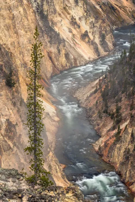 Framed Print : Yellowstone River, Grand Canyon of the Yellowstone, Yellowstone National Park, Wyoming