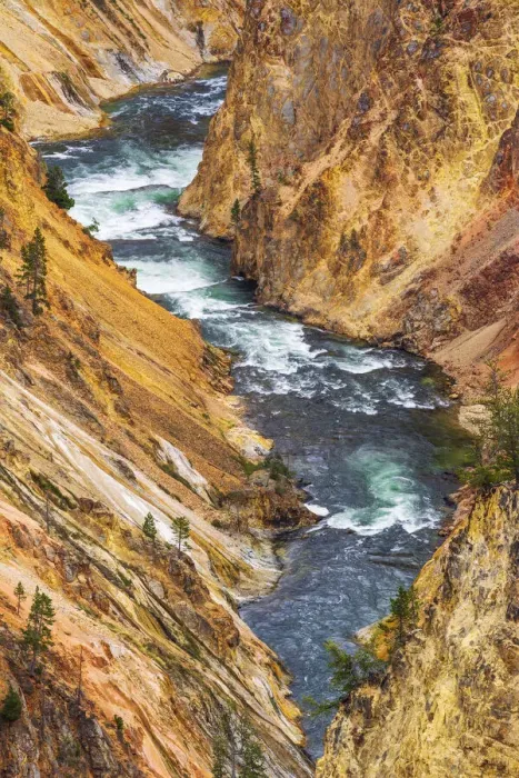 Framed Print : The Yellowstone River in the Grand Canyon of the Yellowstone, Yellowstone National Park Framed Print : The Yellowstone River in the Grand Canyon of the Yellowstone, Yellowstone National Park